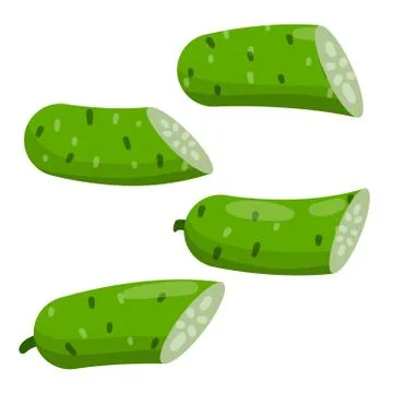 Cucumber. Slice of Green fresh vegetable. Stock Illustration