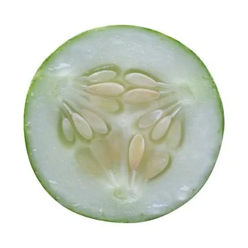 Cucumber slice isolated on white background Stock Photos