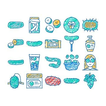 Cucumber slice vegetable green icon hand drawn Illustrazione stock
