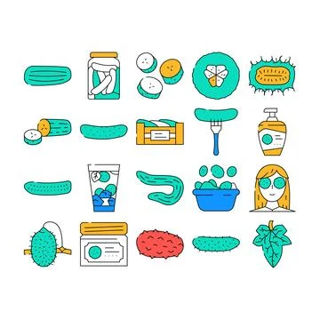 Cucumber slice vegetable green icons set vector Stock Illustration