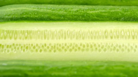 Cucumber. sliced cucumber close up Stockbeeldmateriaal 142744047