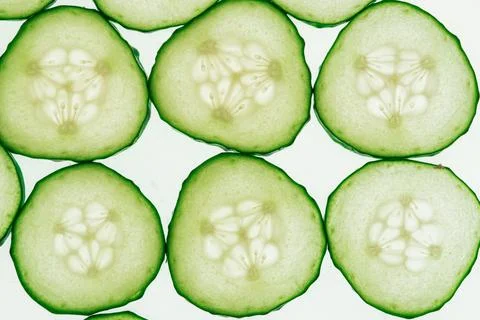 Cucumber slices arranged in a grid pattern, vibrant green color, white pith.. Stock Photos