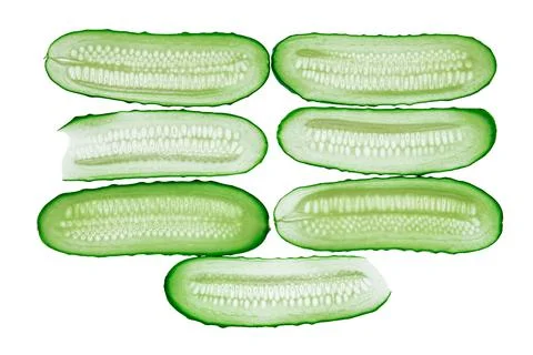 Cucumber slices arranged in a grid pattern against white background, revealin Stock Photos