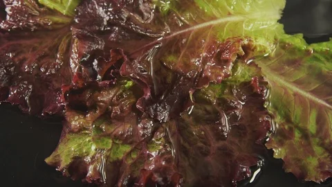 Cucumber slices fall into the water Stock Footage 95980995