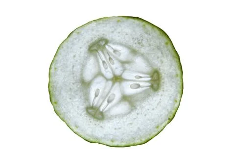 Cucumber slices Stock Photos