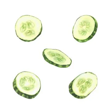 Cucumber slices set. Vegetable cut sliced cucumber circles with seeds Stock Illustration