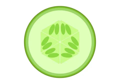 Cucumber slices.  Vector graphics on a white background. Healthy and deliciou Stock Illustration