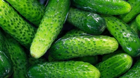 Cucumber Sorting At The Farm Stock Footage 7749304