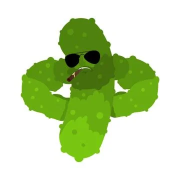Cucumber Strong Cool serious. Vegetable powerful strict. Vector illustration Ilustración de archivo