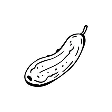 Cucumber thin black lines on a white background - Vector Stock Illustration