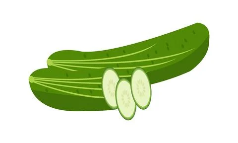 Cucumber Vector Design And Illustration. Stock Illustration