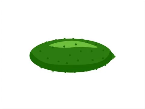 Cucumber Vector Stock Illustration
