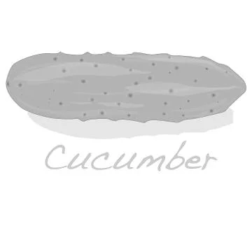 Cucumber vector isolated Stock Illustration
