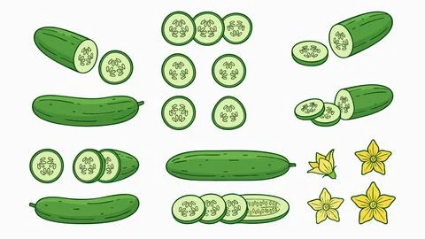 Cucumber Vector Set Stock Illustration