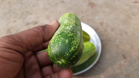 Cucumber vegetable. Stock Footage 237055374
