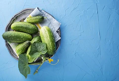Cucumber vegetable group on blue background Stock Photos
