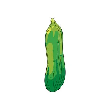 Cucumber vegetable hand drawing doodle icon, organic product. Vector sketch Illustrazione stock