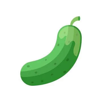 Cucumber vegetable icon in flat style. Gherkin plant vector illustration on.. イラスト素材