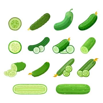 Cucumber vegetable icon set collection in flat style. Gherkin plant vector .. Stock Illustration