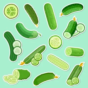 Cucumber vegetable icon set collection in flat style. Gherkin plant sticker.. Stock Illustration