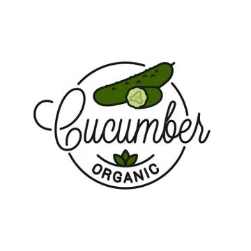 Cucumber vegetable logo. Round linear of slice Stock Illustration
