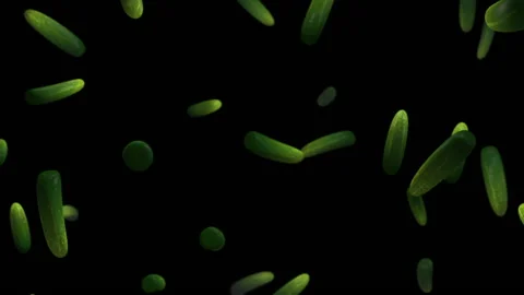 Cucumber vegetable particle loop animation Video stock 146060937