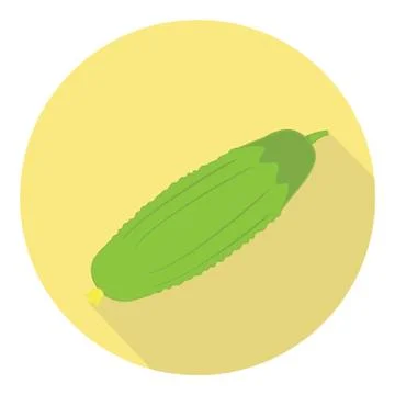 Cucumber Vegetable Plant Stock Illustration