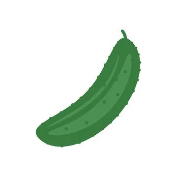 Cucumber vegetable vector illustration colored Stock Illustration