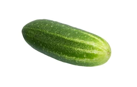 Cucumber vegetable on white background. Stock Photos