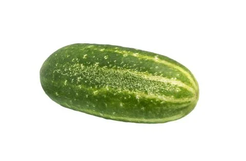Cucumber vegetable on white background. Stock Photos