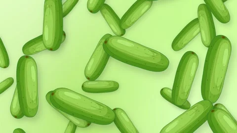 Cucumber Vegetables Animation on Light Green Mesh Background Stock Footage 342316170