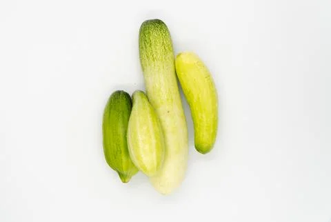 Cucumber vegetables on a white background Stock Photos