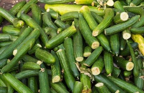 Cucumber waste Foto stock