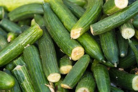Cucumber waste Stock Photos