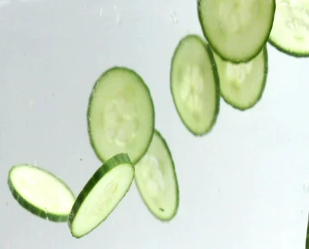 Cucumber in water Video stock 800112
