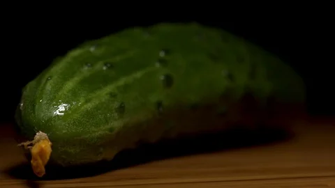  Cucumber watered from a spray bottle Stock Footage 104657322