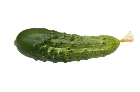 Cucumber on white background Stock Photos