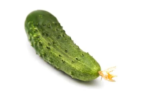 Cucumber on white background Stock Photos