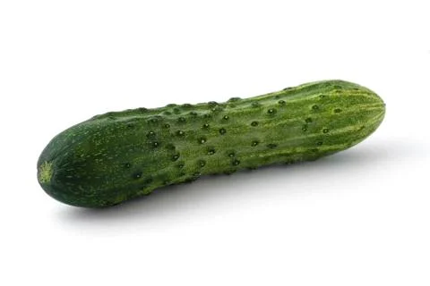 Cucumber on white background Stock Photos