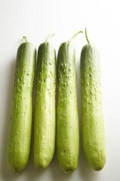 Cucumber on a white background Stock Photos
