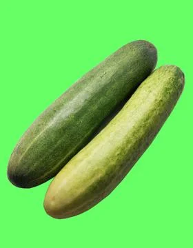 Cucumberblackground colour Stock Photos