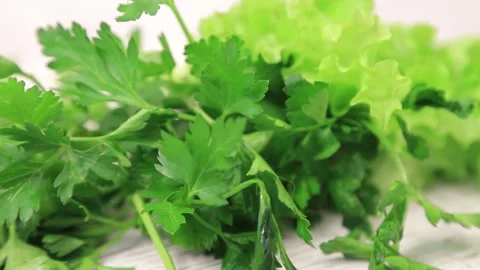 CUCUMBERS AND GREENS Stock Footage 155549982