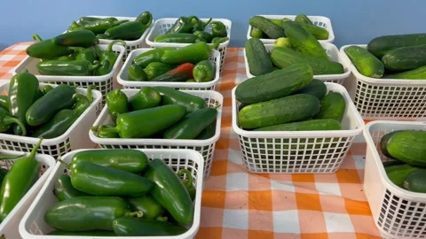 Cucumbers and peppers in baskets Video stock 280519656
