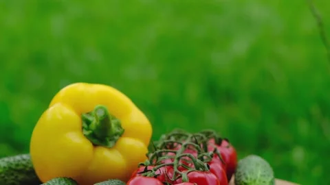Cucumbers and tomatoes or vegetables Stock Footage 155681880