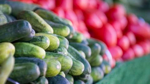 Cucumbers and tomatoes Stock-Fotos