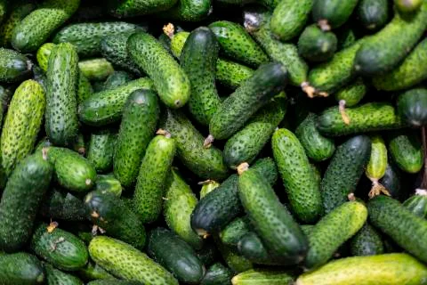 Cucumbers background texture Stock Photos