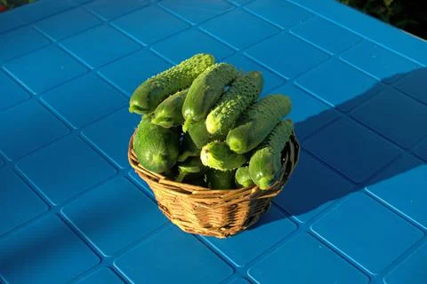 Cucumbers in a basket on a blue table Stock Photos