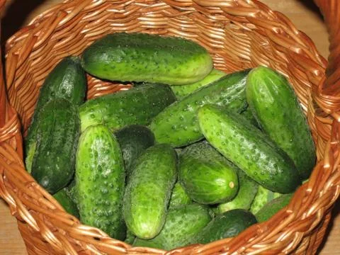 Cucumbers in a basket close-up Foto stock