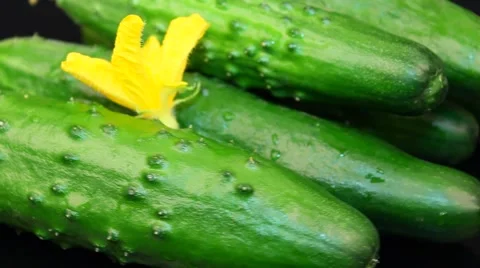 Cucumbers . Black background Stock Footage 61459520