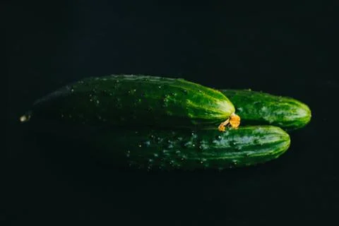 Cucumbers on a black background. three cucumbers Stock Photos